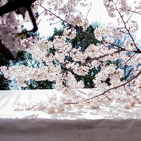Tora Hotel Tokyo-Kitaueno 寅ホテル北上野 Екстер'єр фото