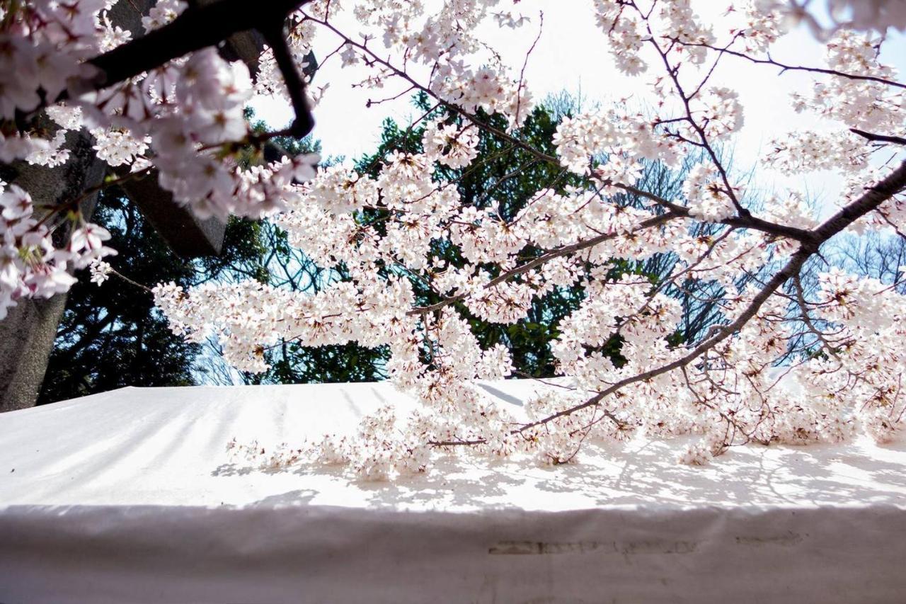 Tora Hotel Tokyo-Kitaueno 寅ホテル北上野 Екстер'єр фото